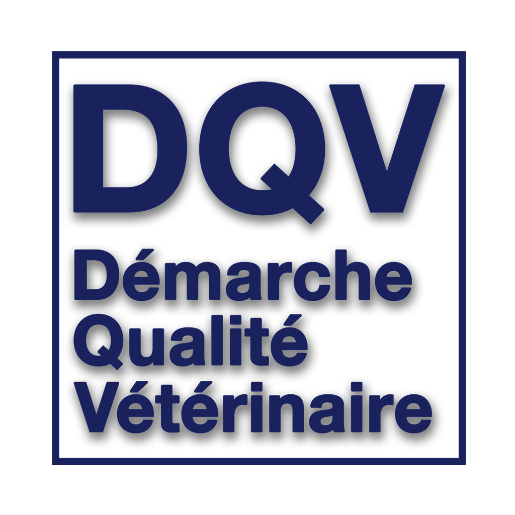 Attestations supplémentaires DQV