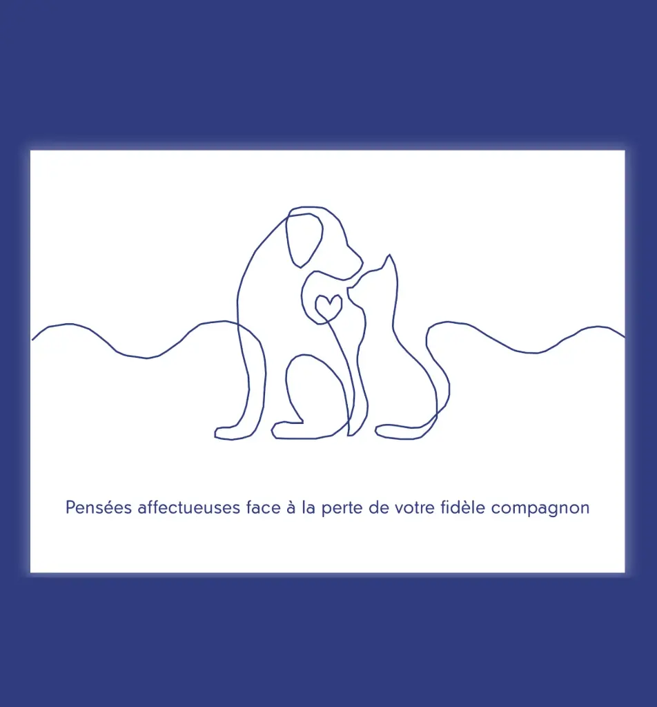 Cartes de condoléances (Pensées affectueuses) 30 pièces