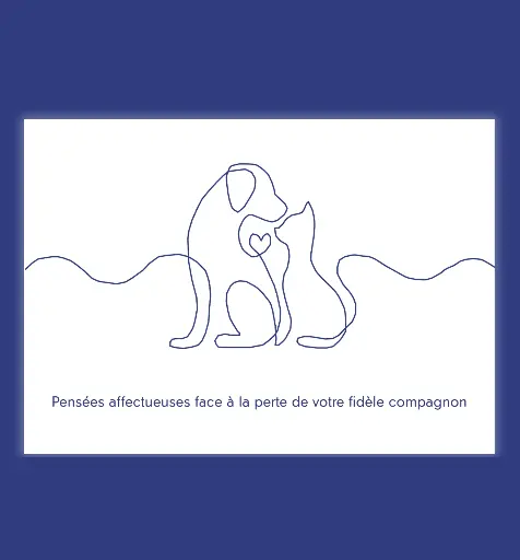 Cartes de condoléances (Pensées affectueuses) 30 pièces